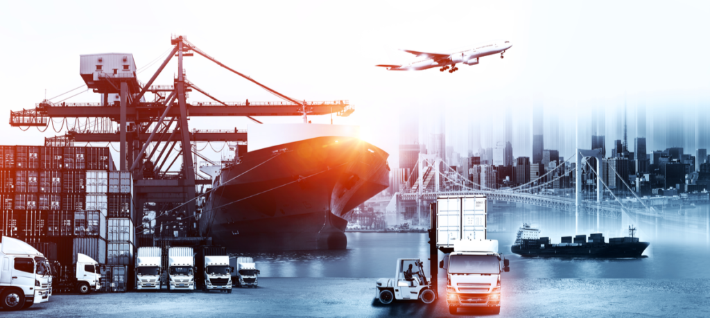 こっそりお伝えします 多肉植物を海外から輸入する方法 たにある 多肉植物のある生活