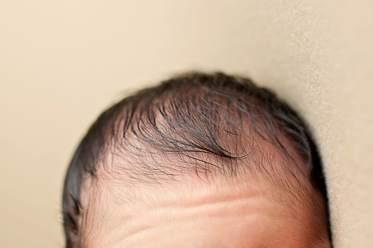 どのくらい思い浮かびますか 毛のある多肉植物 たにある 多肉植物のある生活